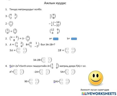 10-р анги Матриц