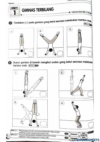 Pendidikan Jasmani