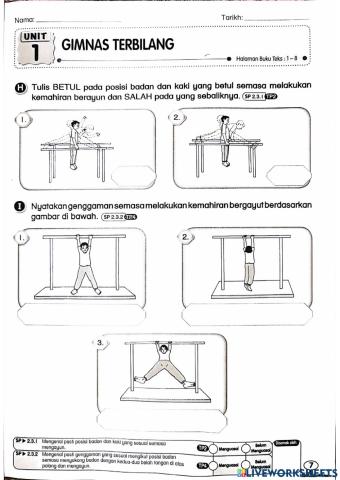 Pendidikan Jasmani