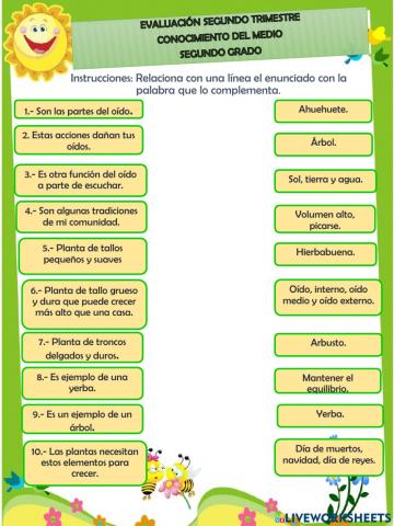 Evaluación conocimiento del medio 2