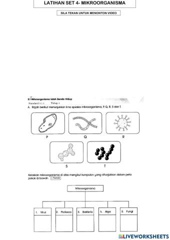 Mikroorganisma