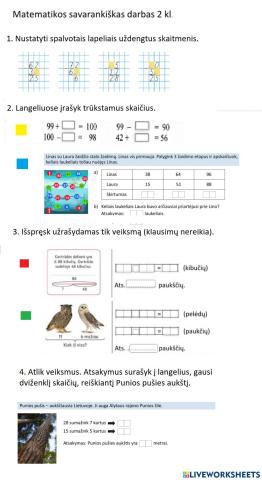 Matematikos savarankiška užduotis