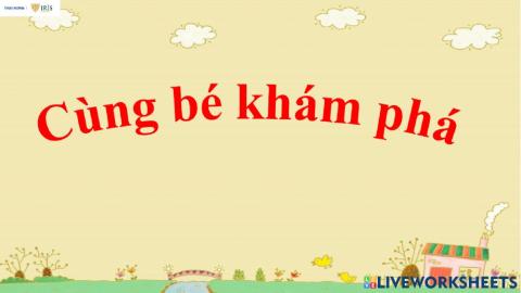 Cùng bé khám phá