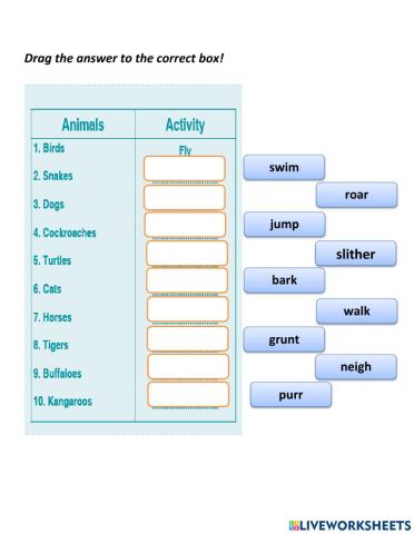 Exercise Chapter VI