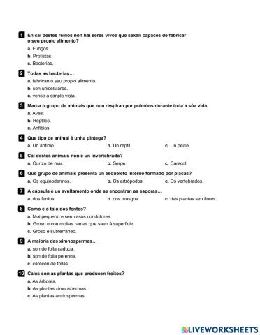 Clasificación seres vivos