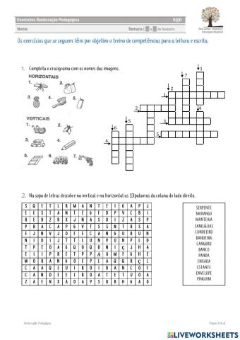 Exercícios de Reeducação Pedagógica