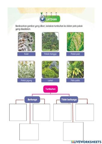 PSSAS TING 1:TUMBUHAN-Cikgu Hawa