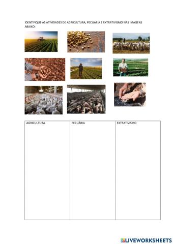 Geografia- agricultura-pecuária-extrativismo