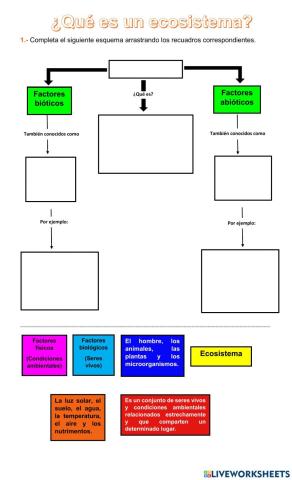 ¿Qué es un ecosistema?