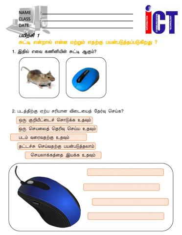 Computer Mouse