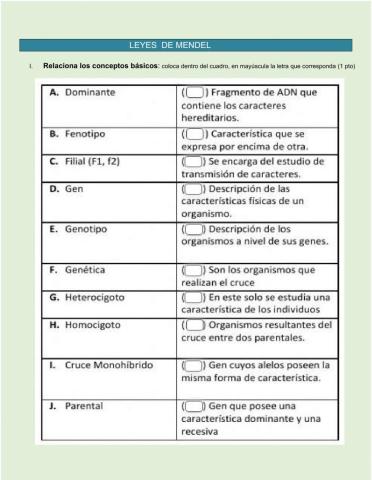 Leyes de mendel