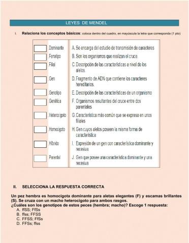 Leyes de mendel