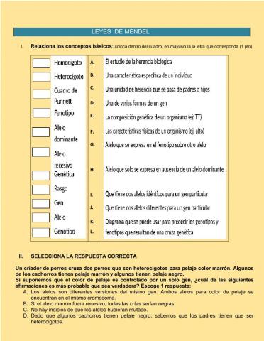 Leyes de mendel