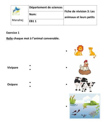 Les animaux et leurs petits eb1