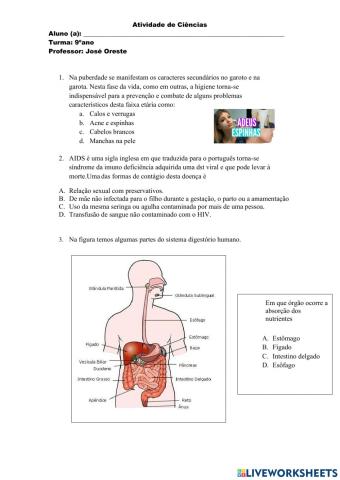 Avaliação diagnóstica 9 ano