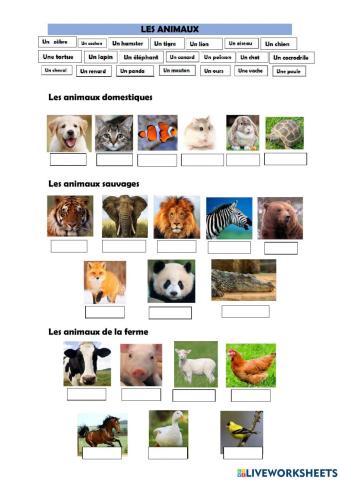 Animaux