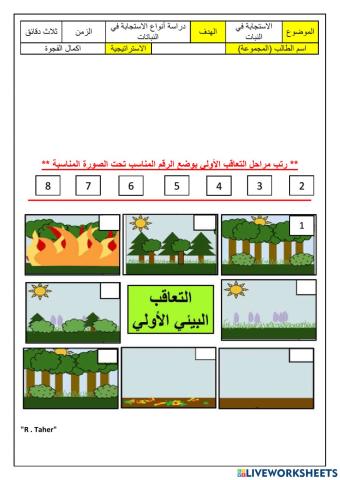 ورقة عمل مراحل التعاقب الأولي