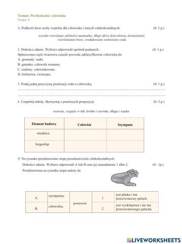 Pochodzenie człowieka