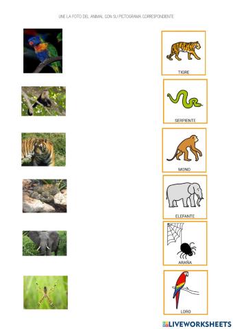 Los animales de la selva