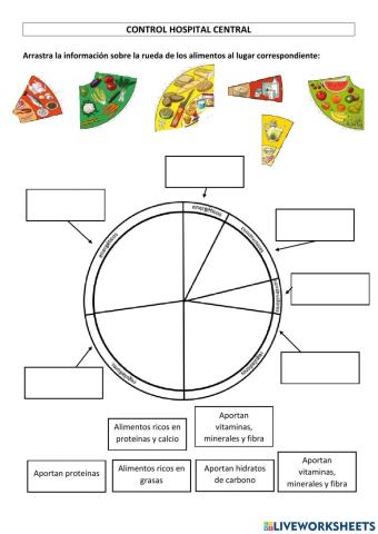 La rueda de los alimentos