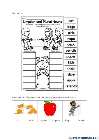 Singular and plural nouns