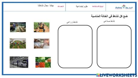 علوم إجتماعية