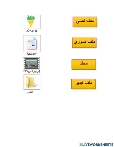 ورقة عمل للصف الثاني