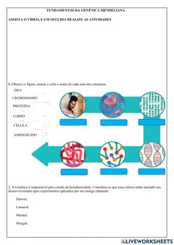 Fundamentos da Genética Mendeliana