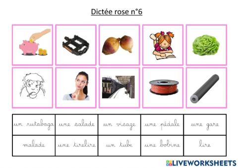 Dictée rose 6