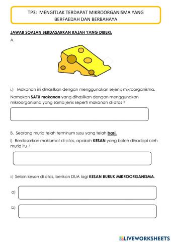 Kesan Buruk dan Kegunaan Mikroorganisma 2