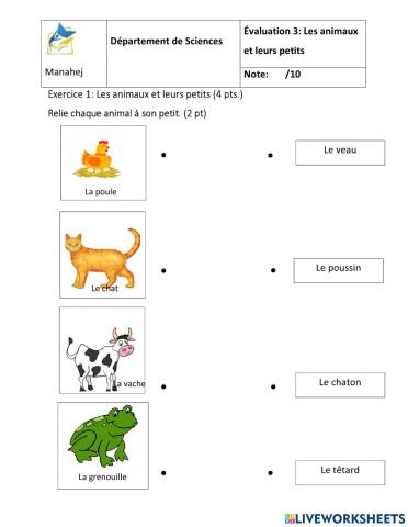 Les animaux et leurs petits V2