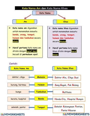 Kata Nama AM dan KHAS