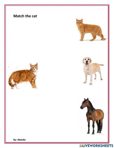 Match the cat