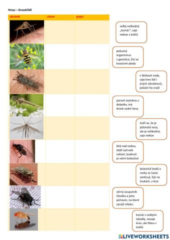 Hmyz - dvoukřídlí