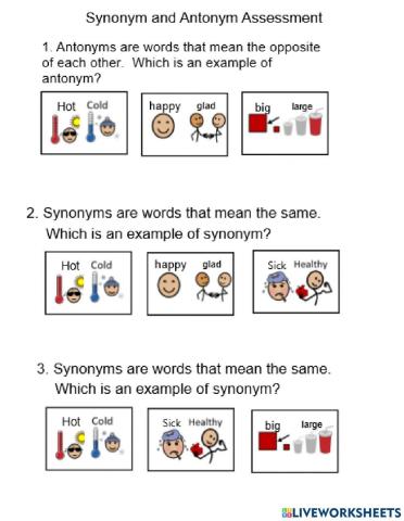 Synonym and Antonym Assessmenr