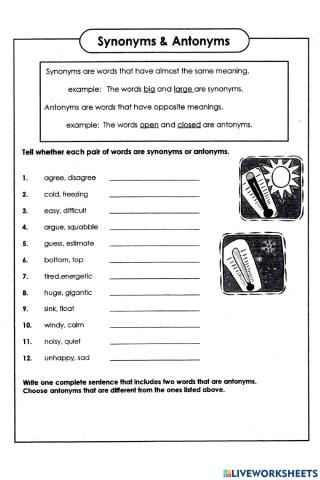 Synonyms & Antonyms