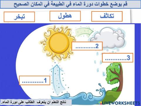 دورة الماء