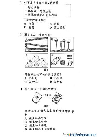 微生物