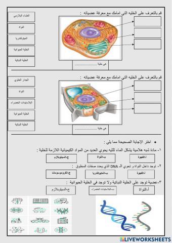 عالم الخلايا