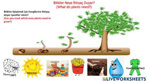 Fi̇li̇zlendi̇rmek bi̇zi̇m i̇şi̇mi̇z-germination is our job