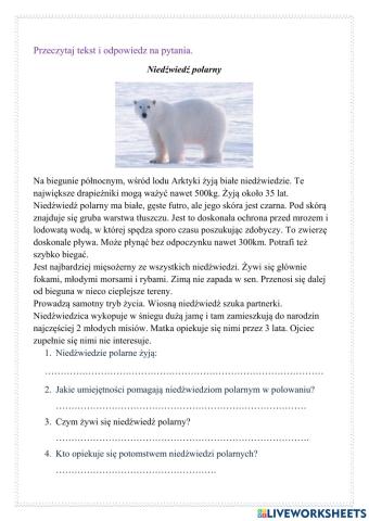 Niedźwiedzie polarne