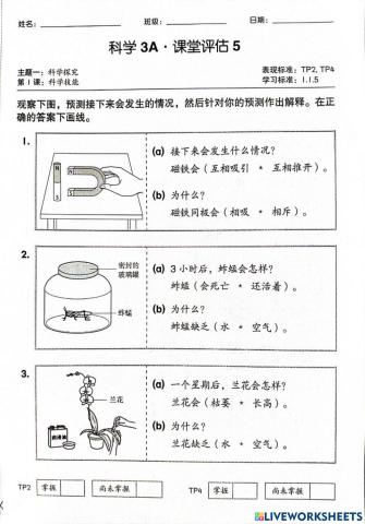 3年级科学 科学程序技能 推断