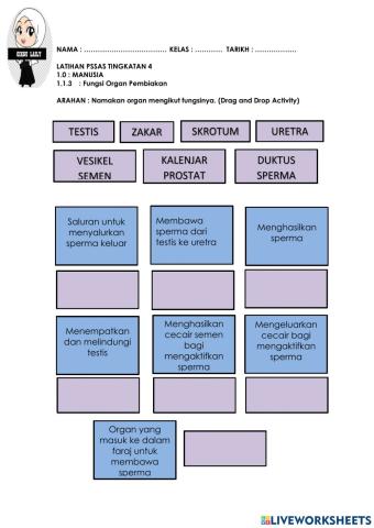 Fungsi organ pembiakan manusia