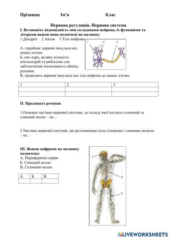 8 клас Нервова система