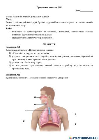 Практичне заняття №11