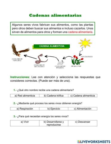 Cadena alimentaria