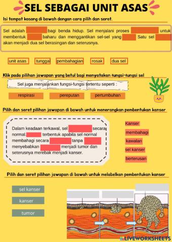 Sel sebagai unit asas