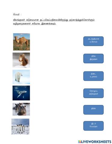 விலங்குகள் தட்பவெப்பநிலையிலிருந்து தற்காத்துக் கொள்ளவும்.