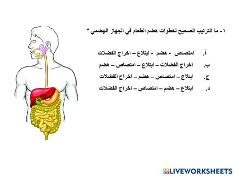 الجهاز الهضمي