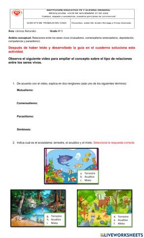 Guia 3 ciencias naturales 4º 3